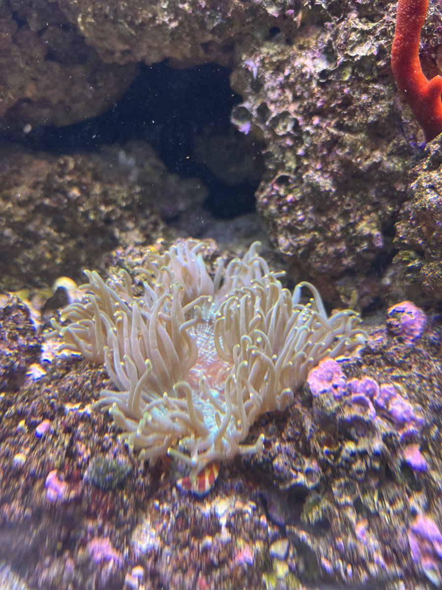 IMG_3853.jpeg