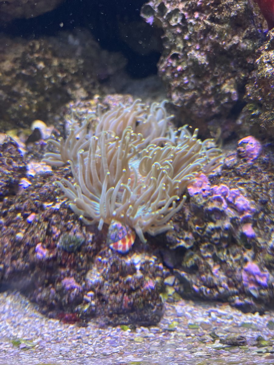 IMG_3854.jpeg