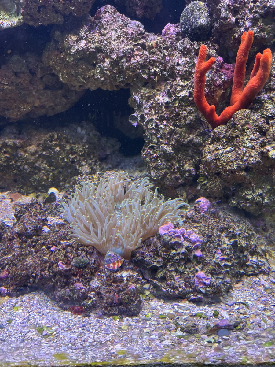 IMG_3855.jpeg