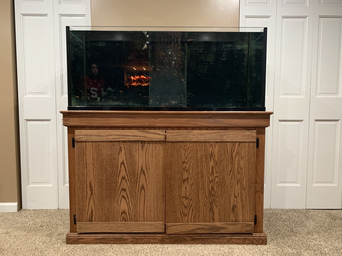 Pennsylvania - 75 Gallon Rimless Tank with extras | Reef2Reef