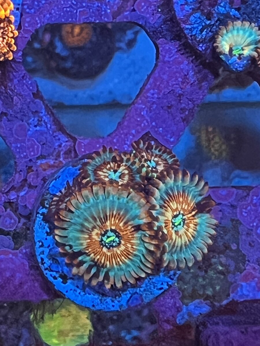 IMG_3874.jpeg