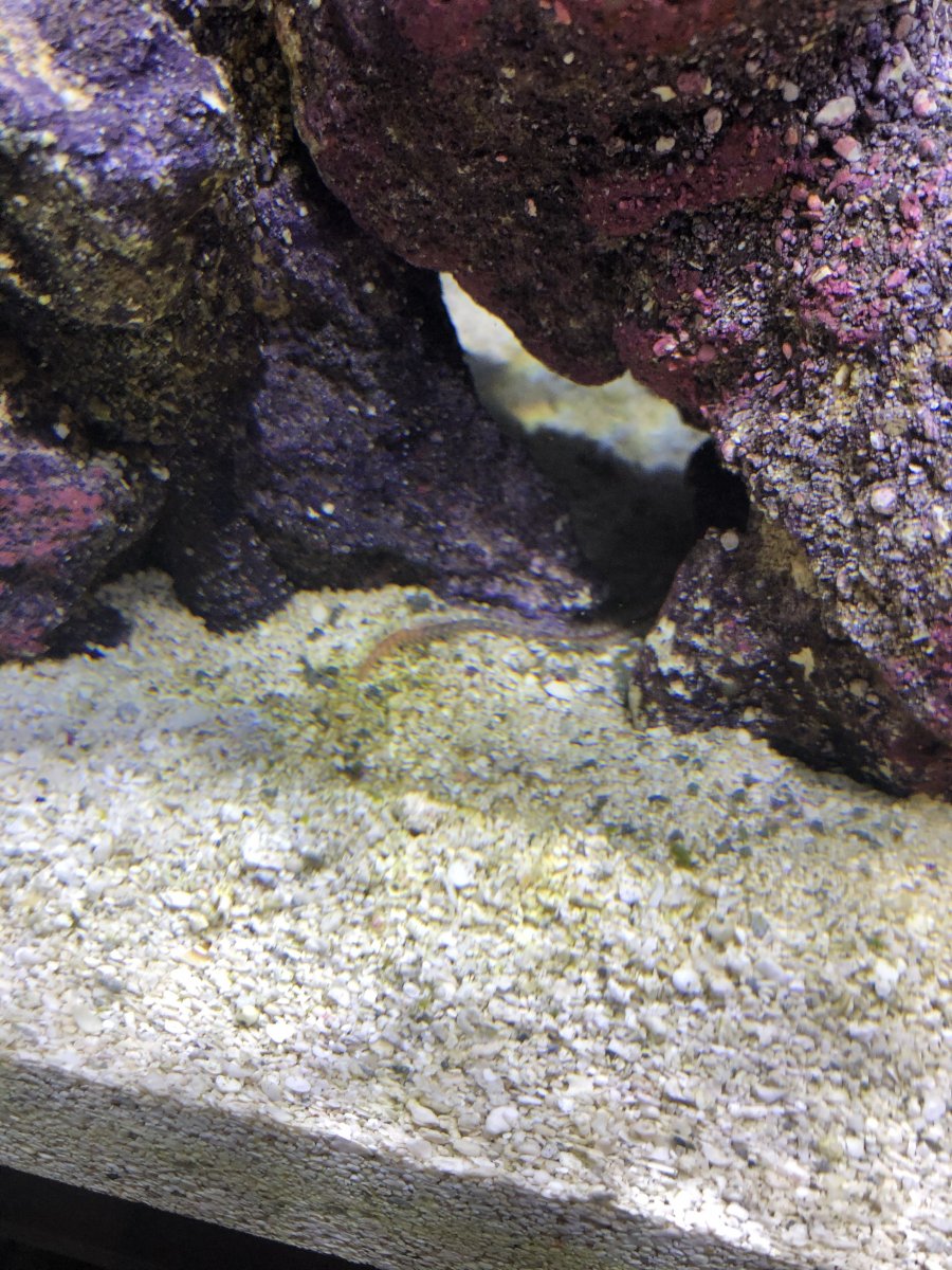IMG_3880.jpeg