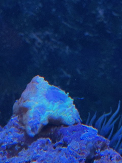 IMG_3880.jpeg