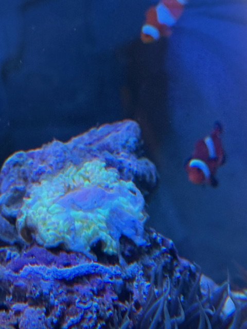 IMG_3881.jpeg