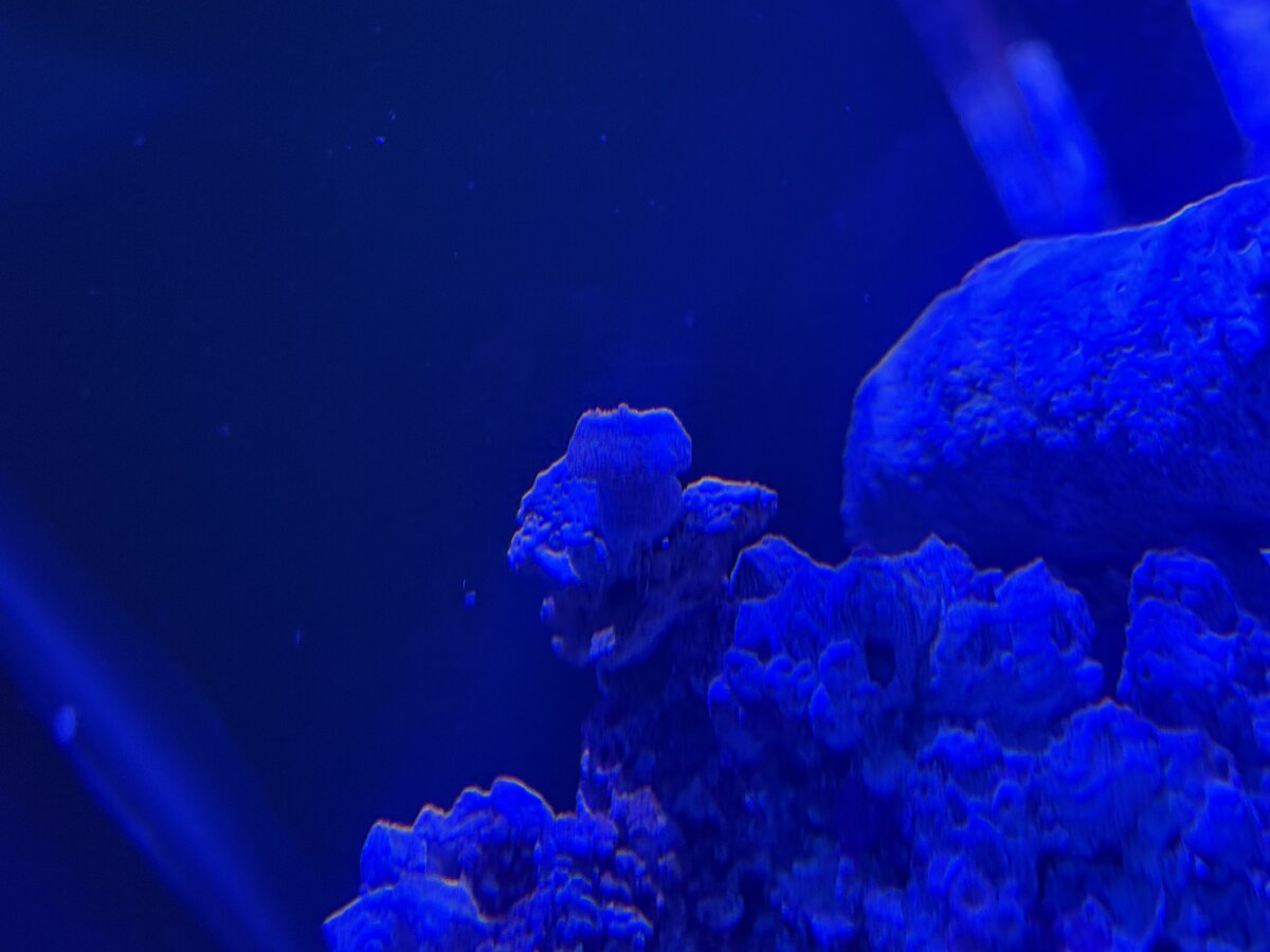 IMG_3883.jpeg