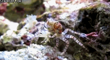 IMG_3884.GIF