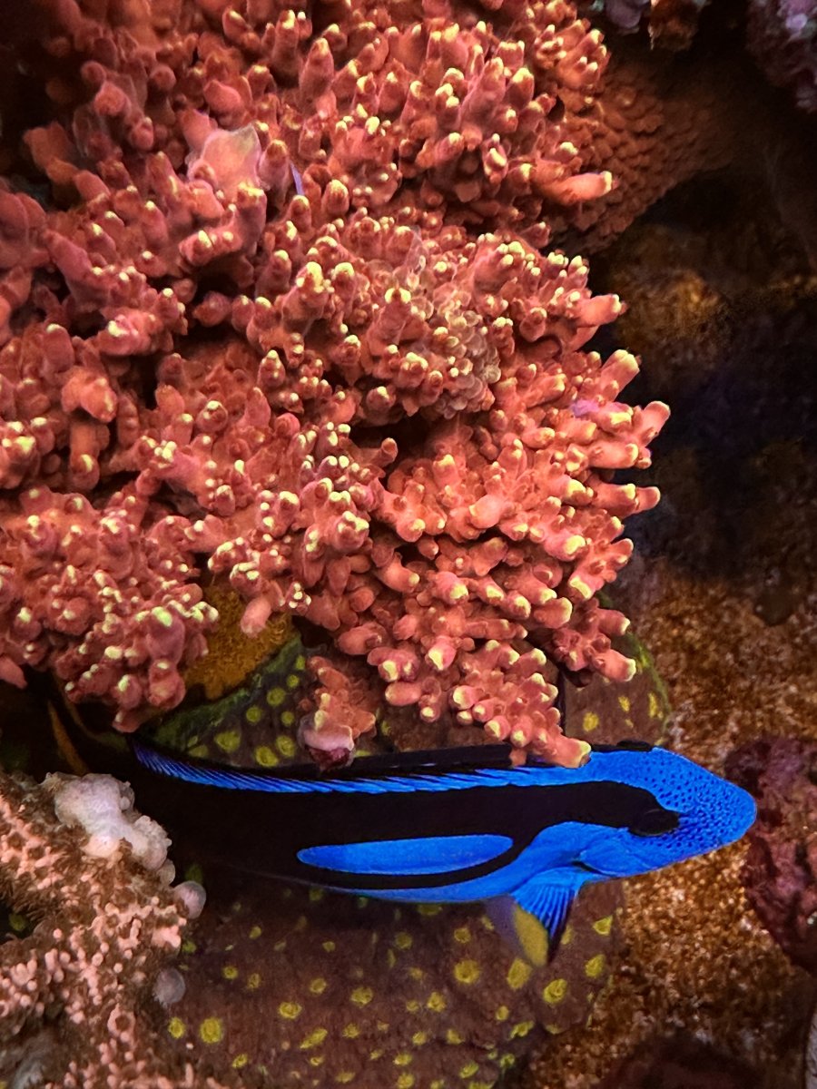 IMG_3885.jpeg