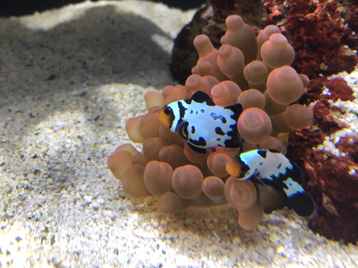IMG_3892.jpeg
