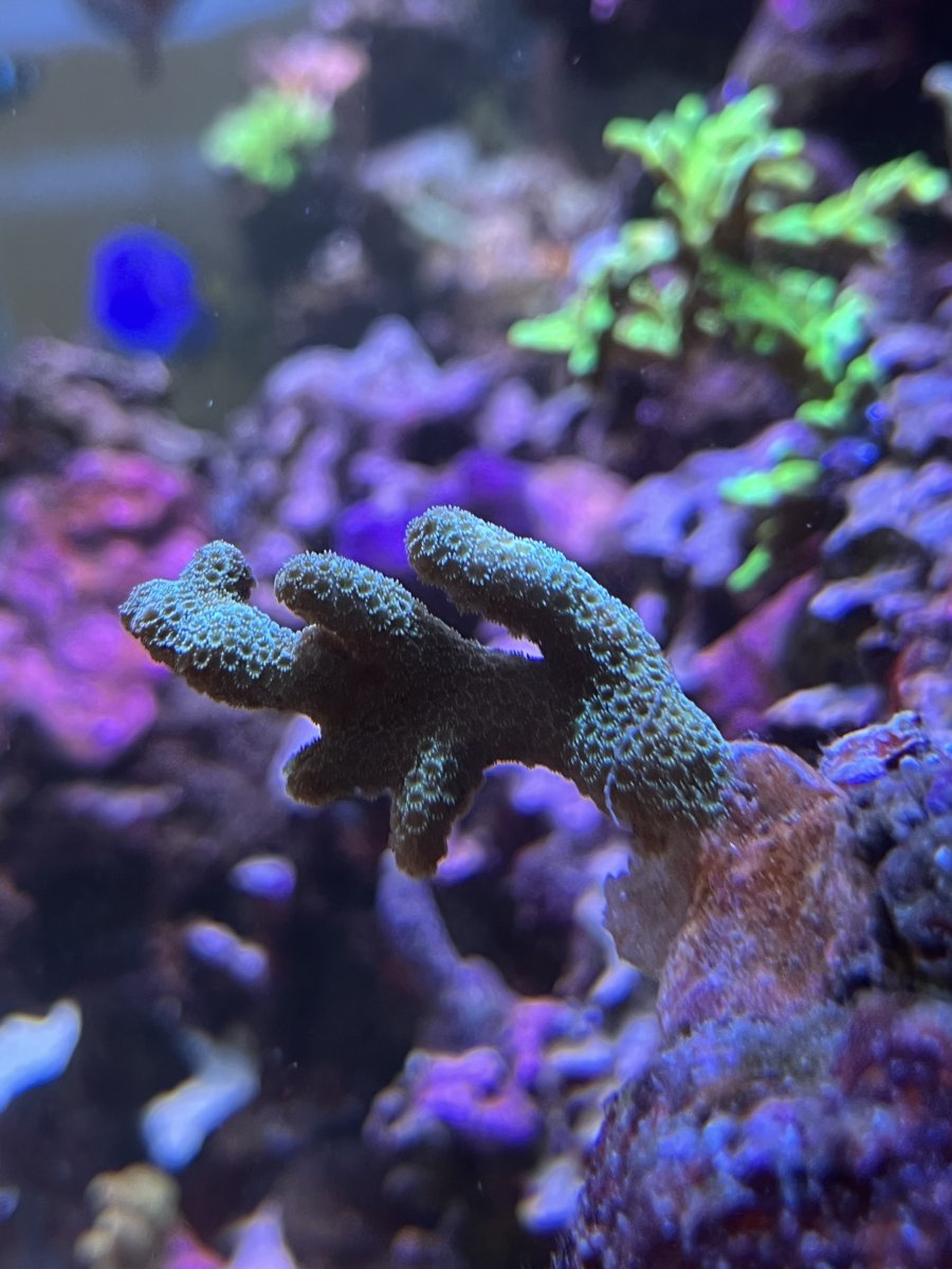 IMG_3893.jpeg