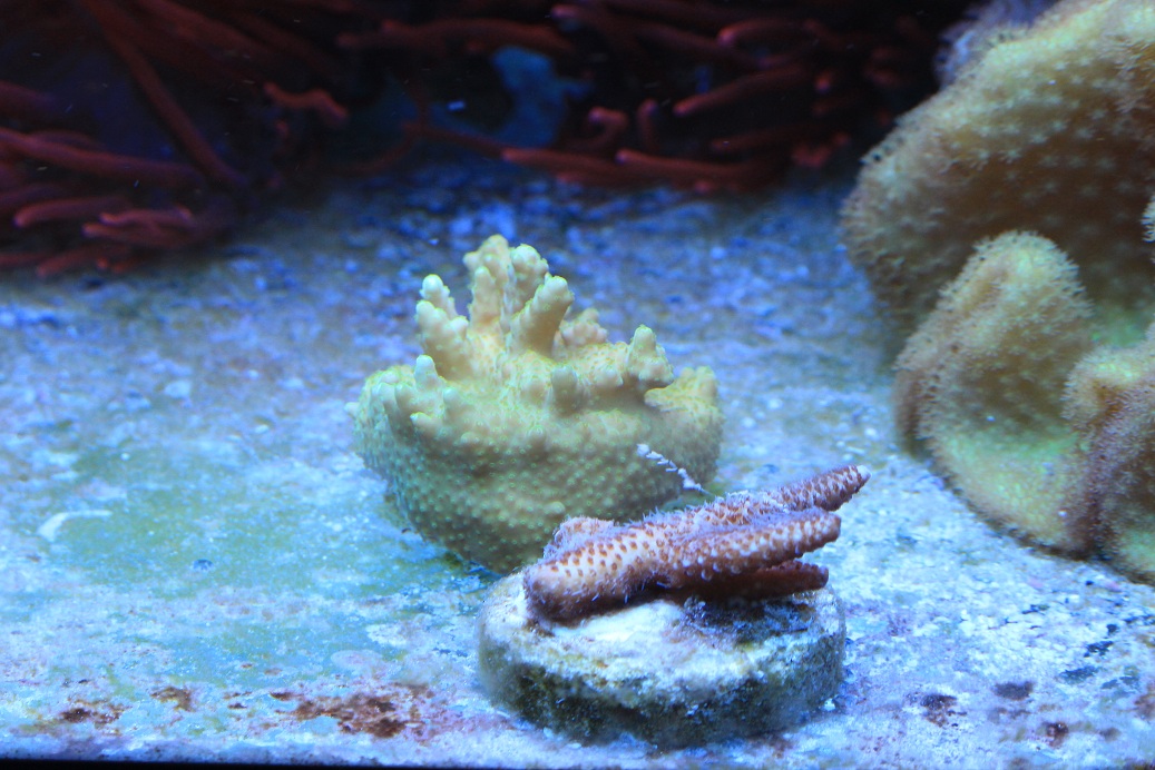 IMG_3893.JPG