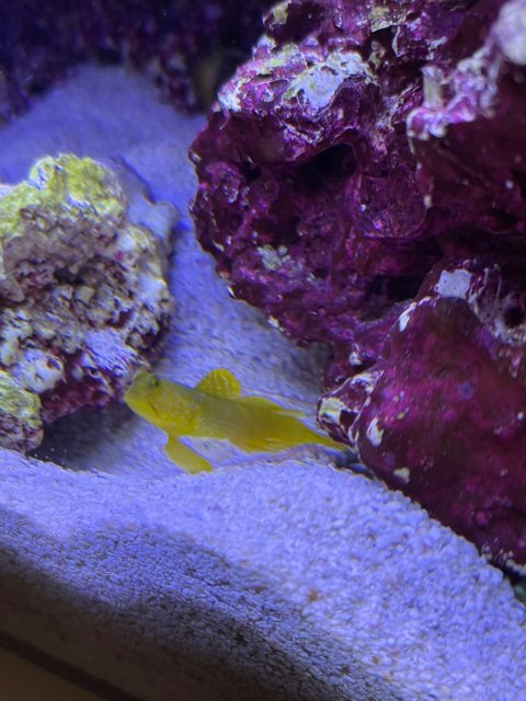 IMG_3899.jpg
