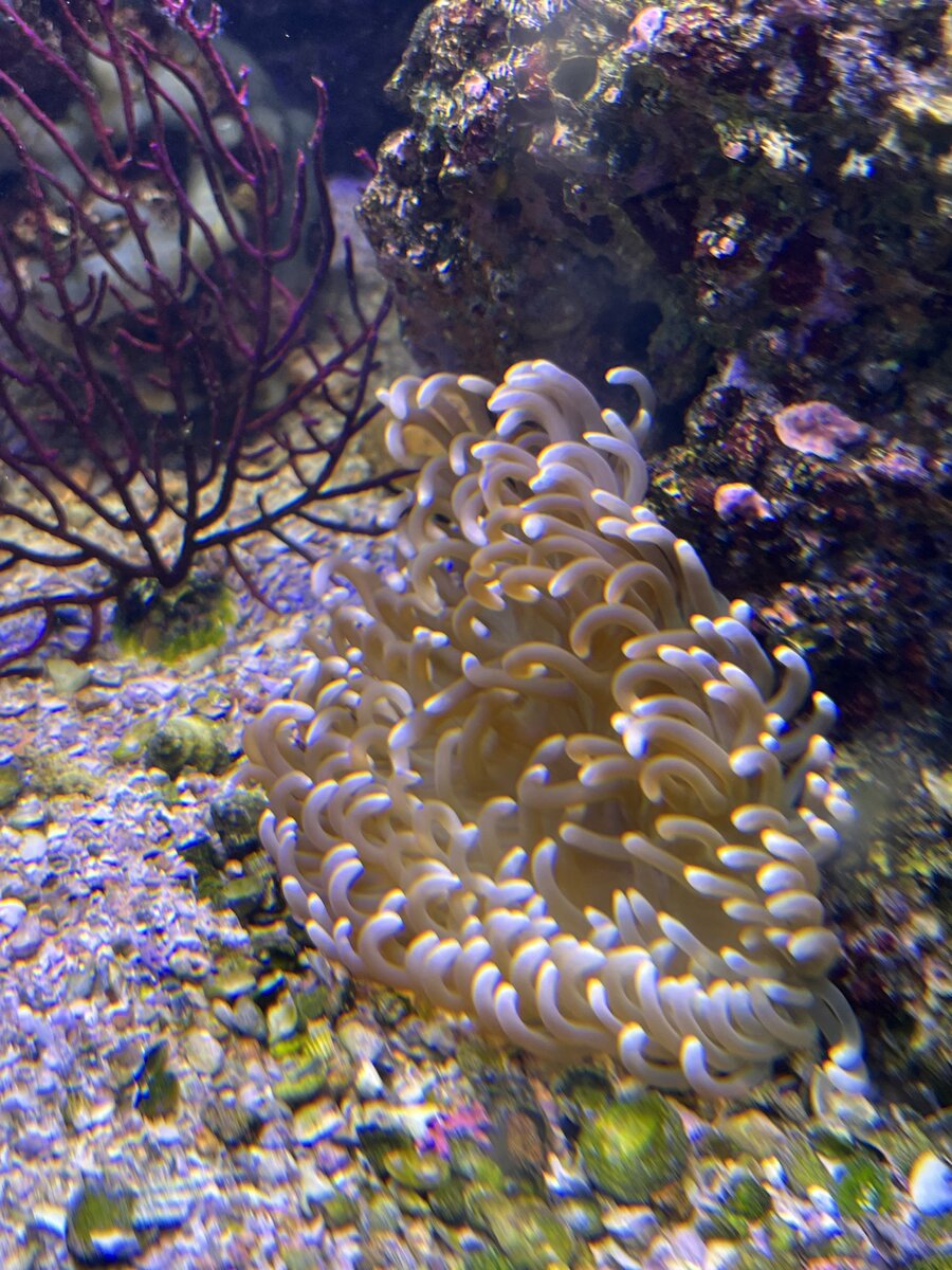 IMG_3901.jpeg