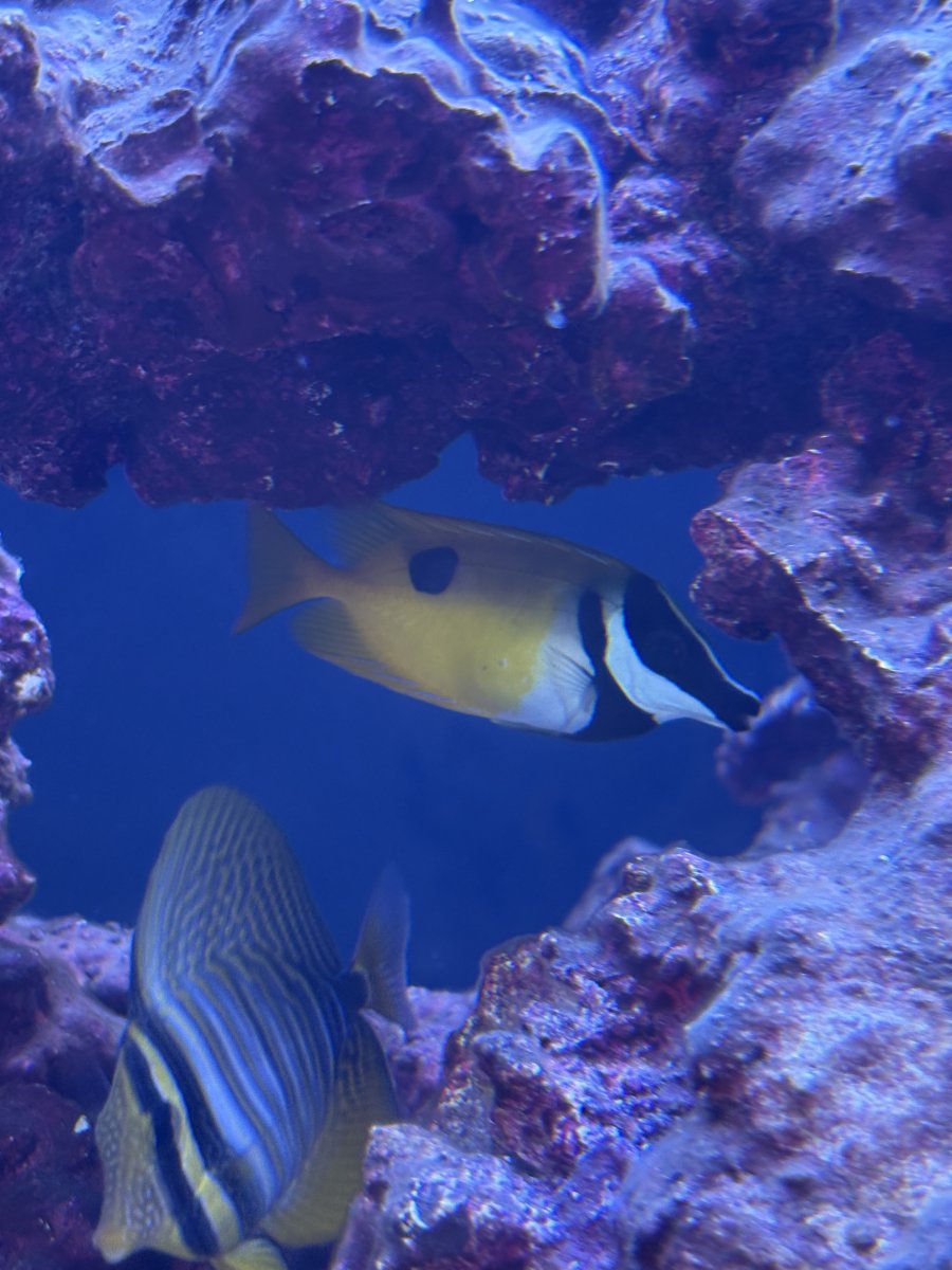 IMG_3911.jpeg