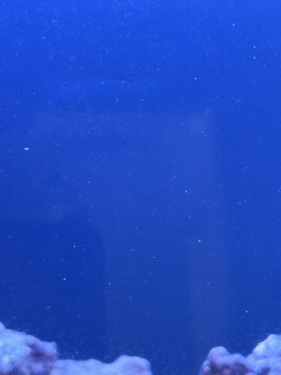 IMG_3912.jpeg