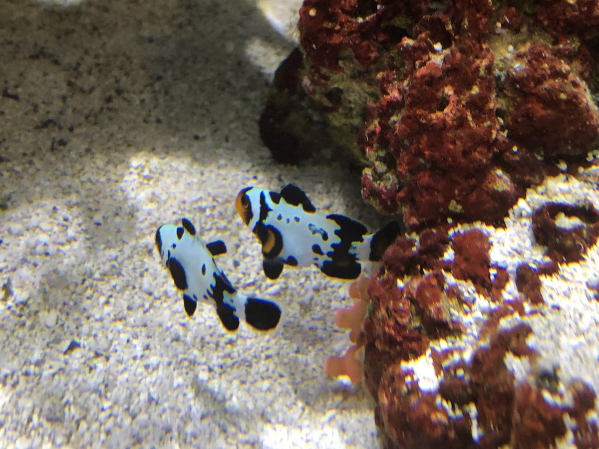 IMG_3918.jpeg