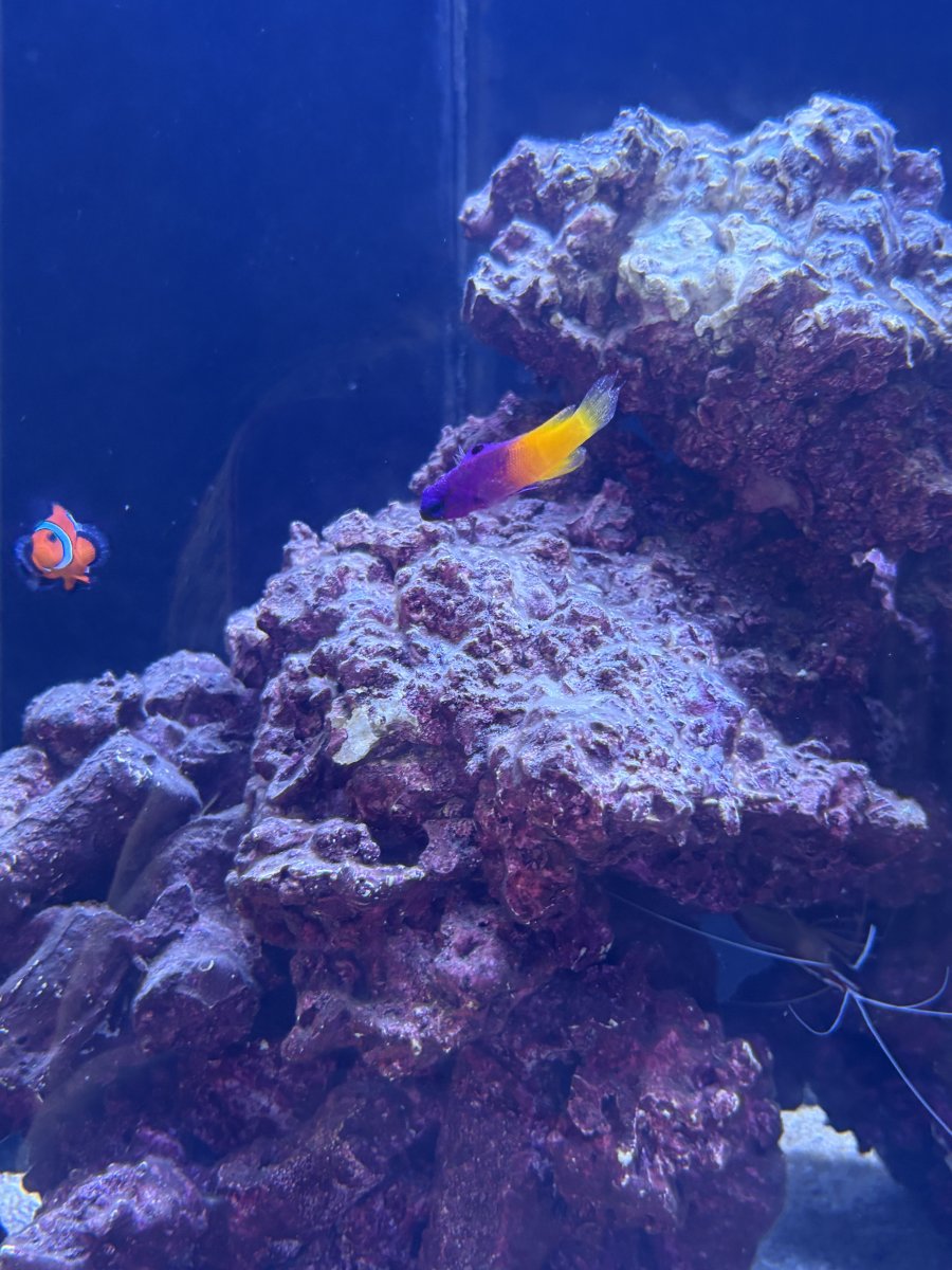 IMG_3920.jpeg