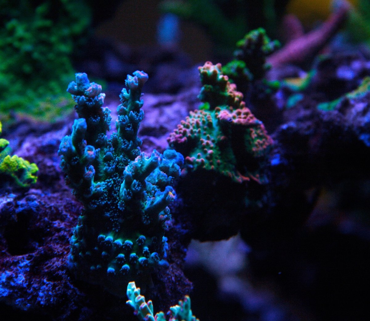 IMG_3924-01.jpeg