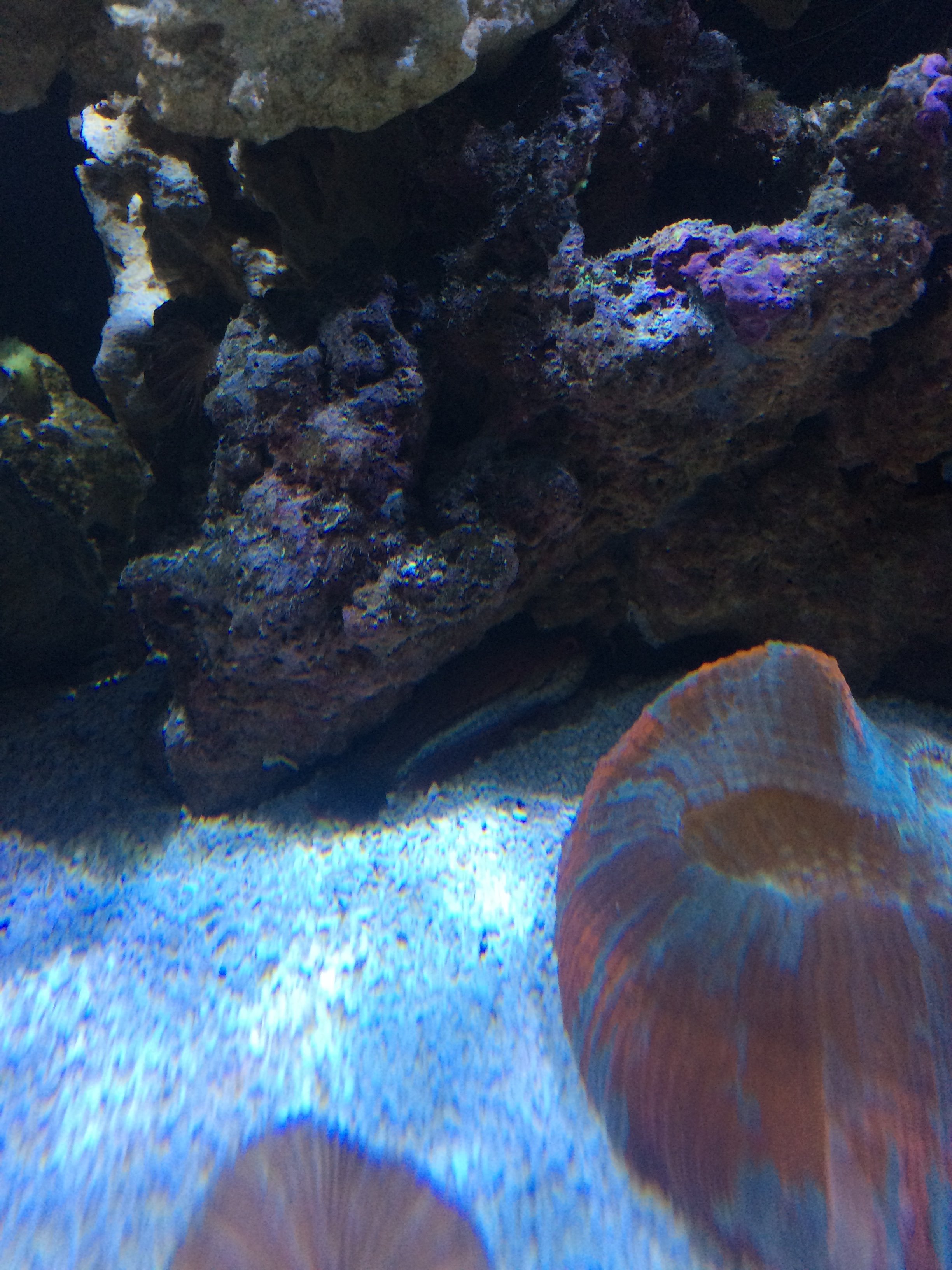 IMG_3934.JPG
