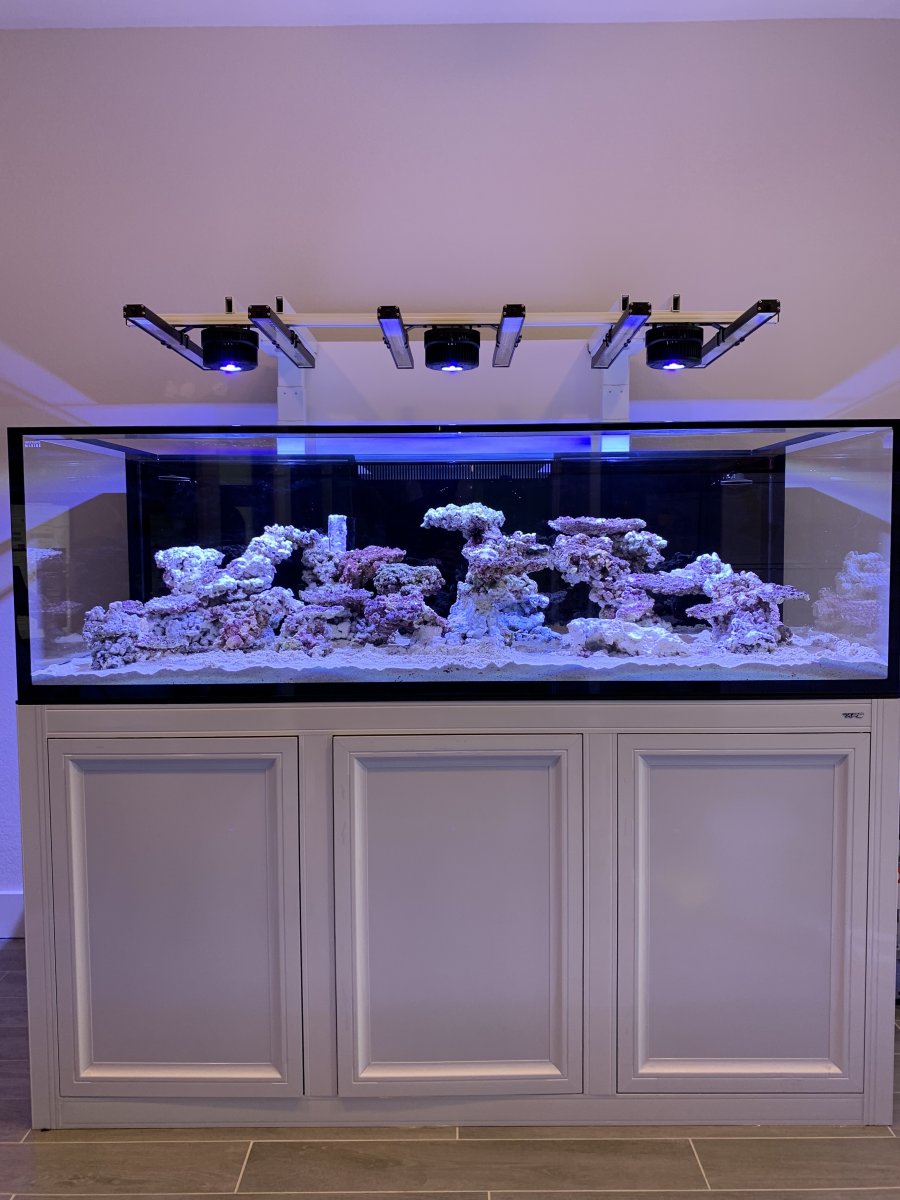 Large Build - Show Off Your Large Tank Aquascape :) | Page 54 | Reef2Reef