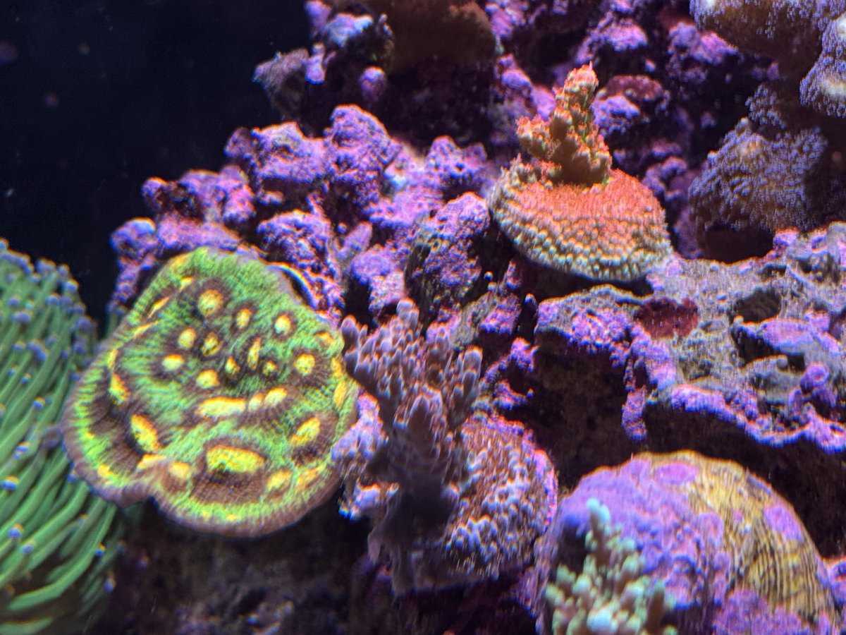 IMG_3955.jpeg