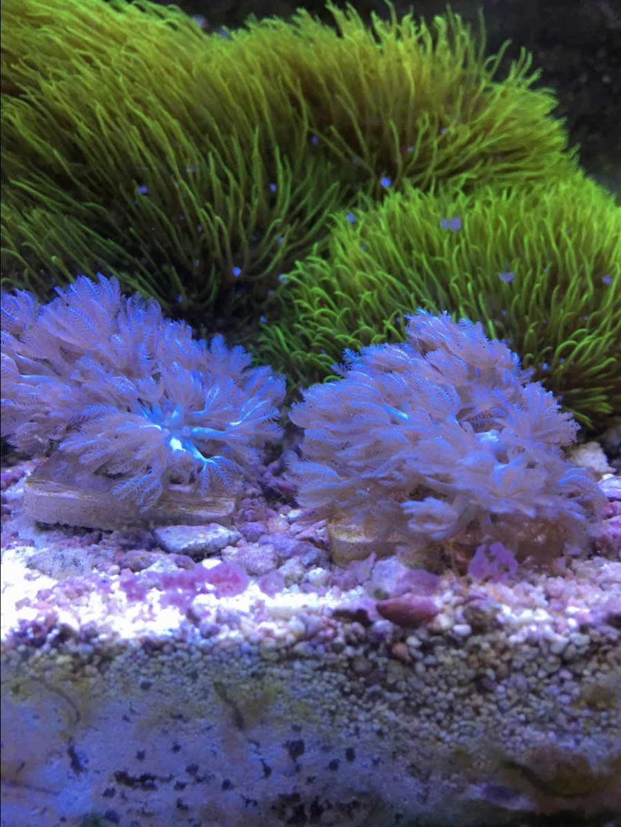 IMG_3957.JPG
