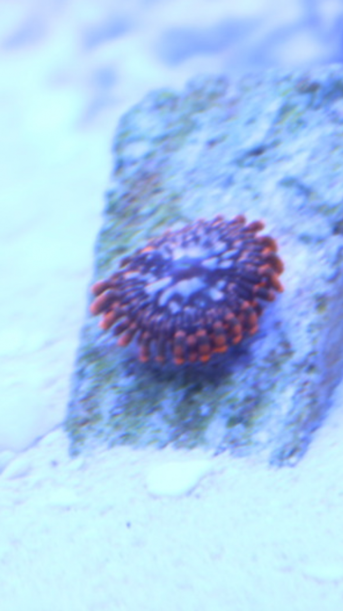 IMG_3960.PNG