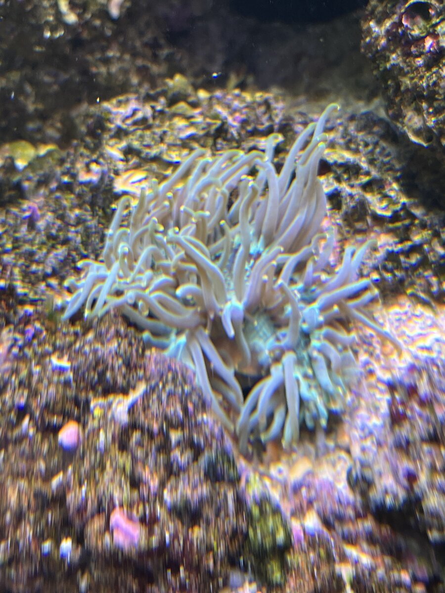 IMG_3968.jpeg