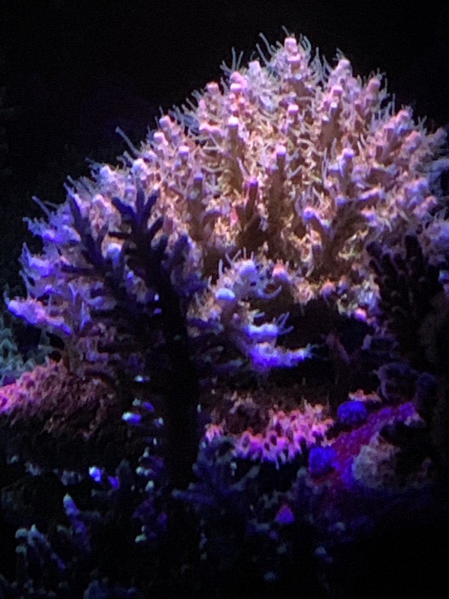IMG_3984.jpeg