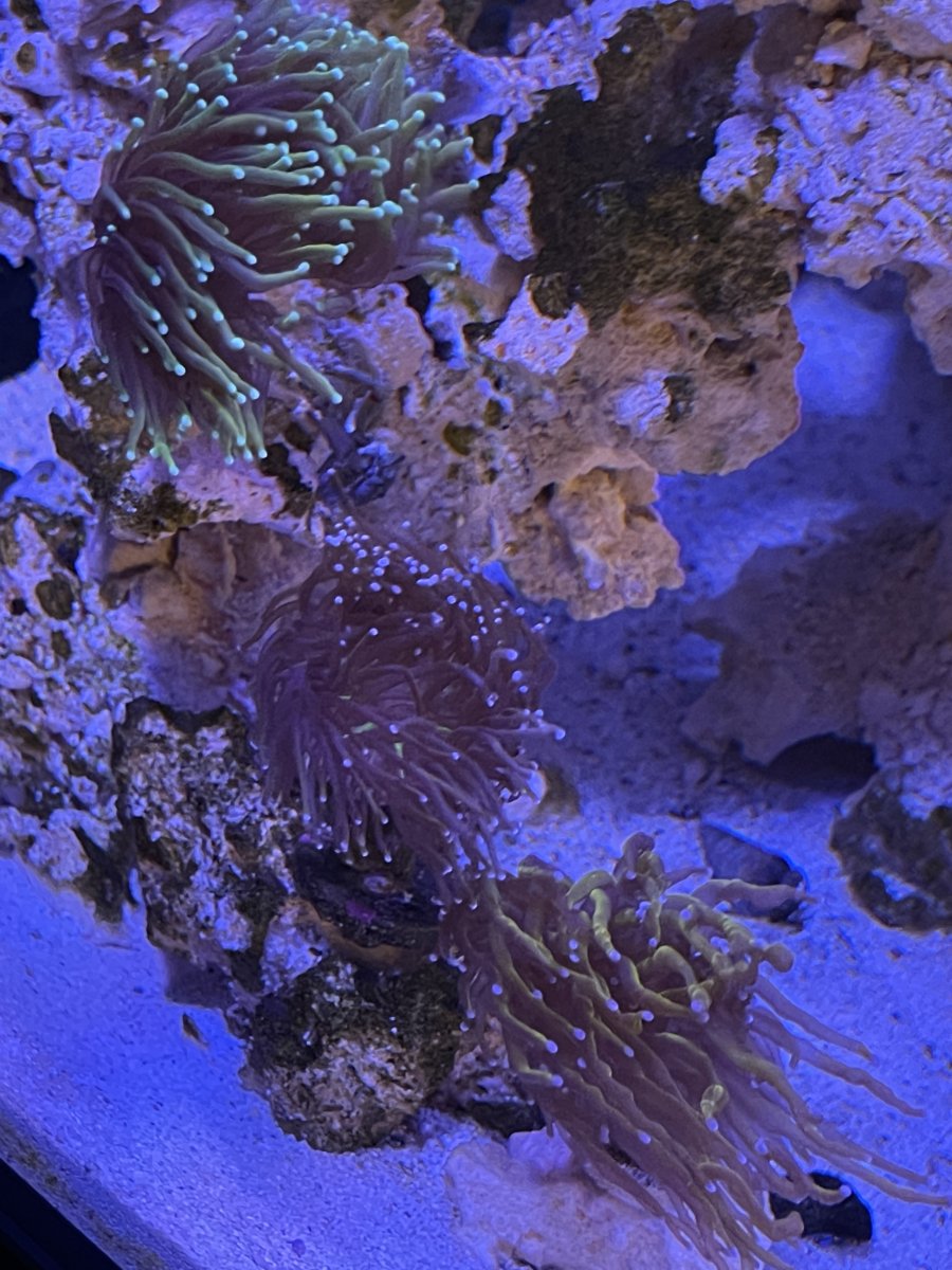 IMG_3990.jpeg