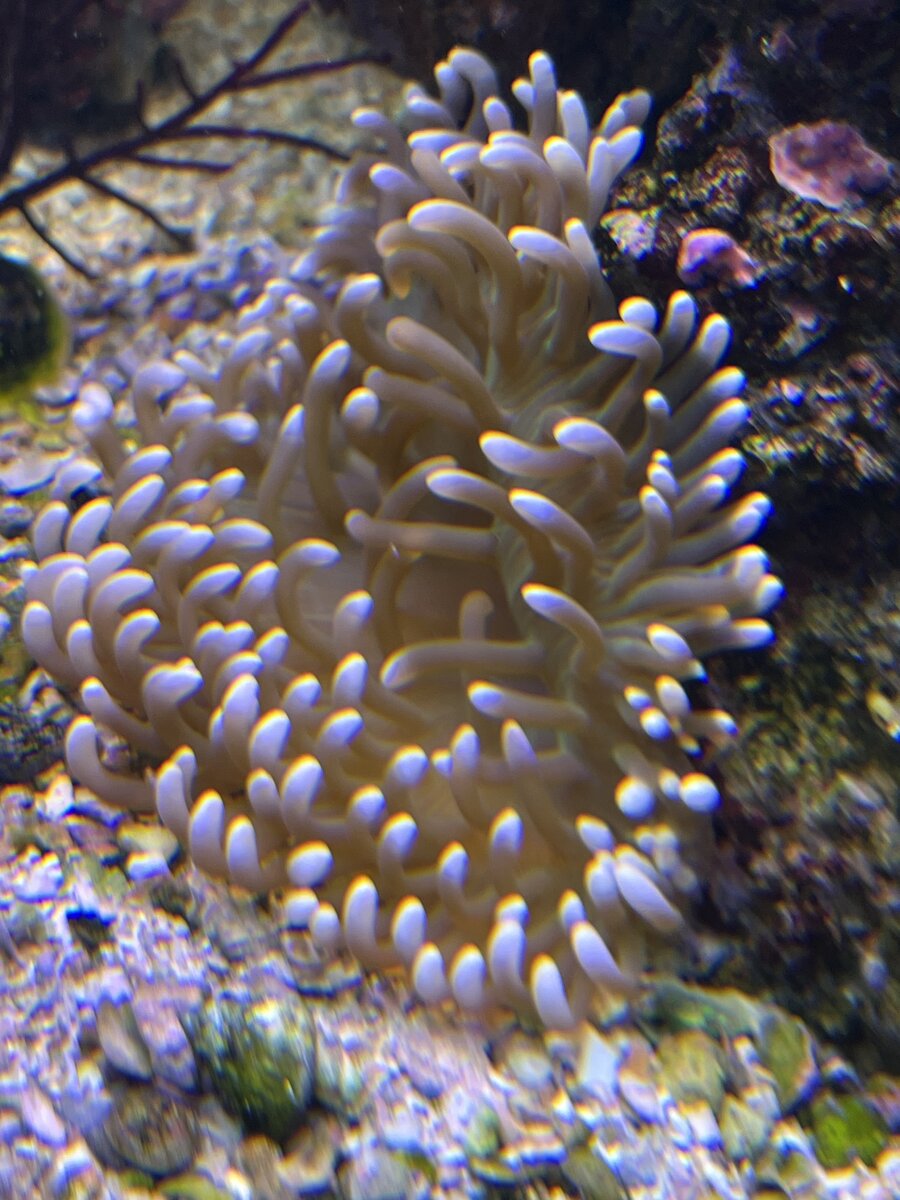 IMG_4001.jpeg