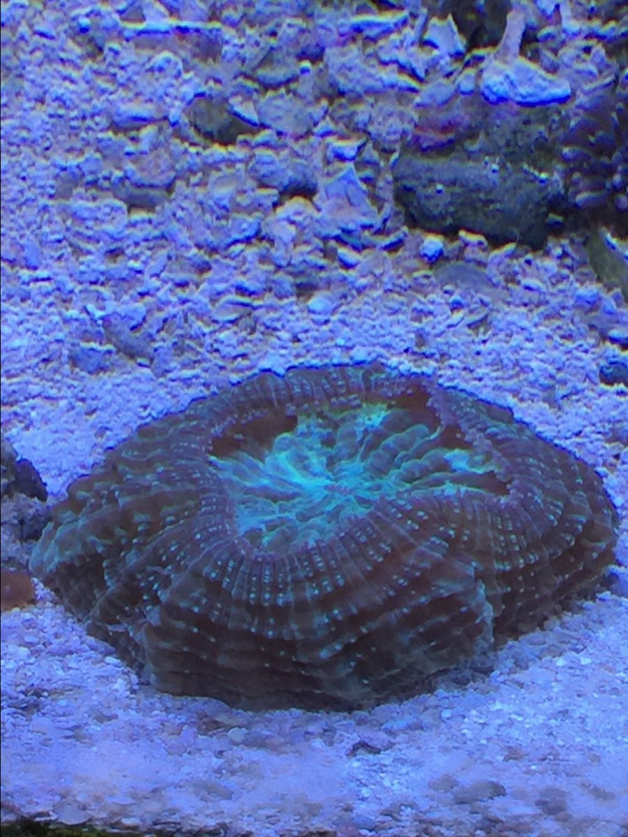 IMG_4014.JPG