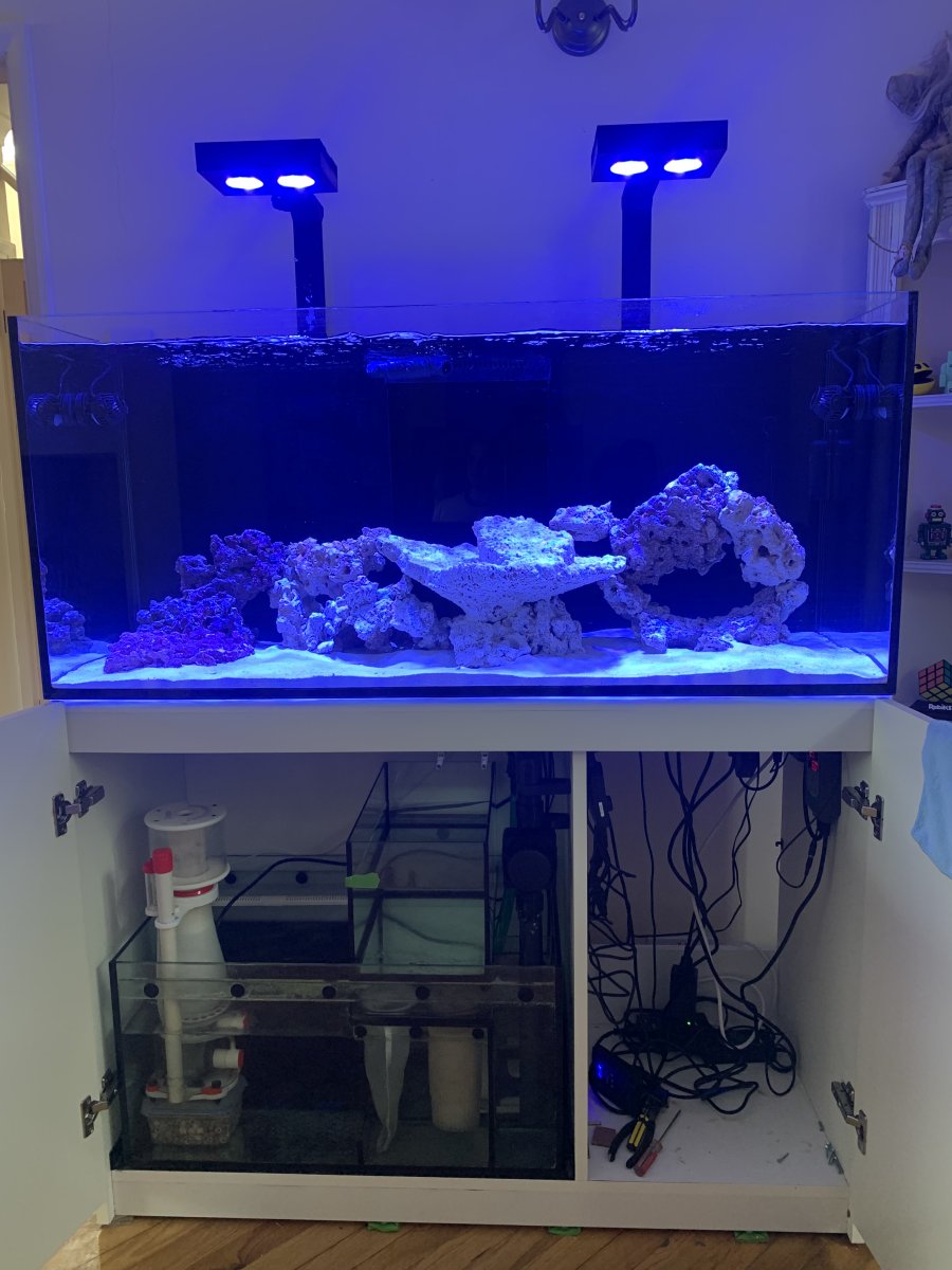 Hello - New Reefer here, just set this tank up 8 days ago, using the ...