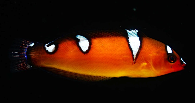 IMG_4022.jpeg