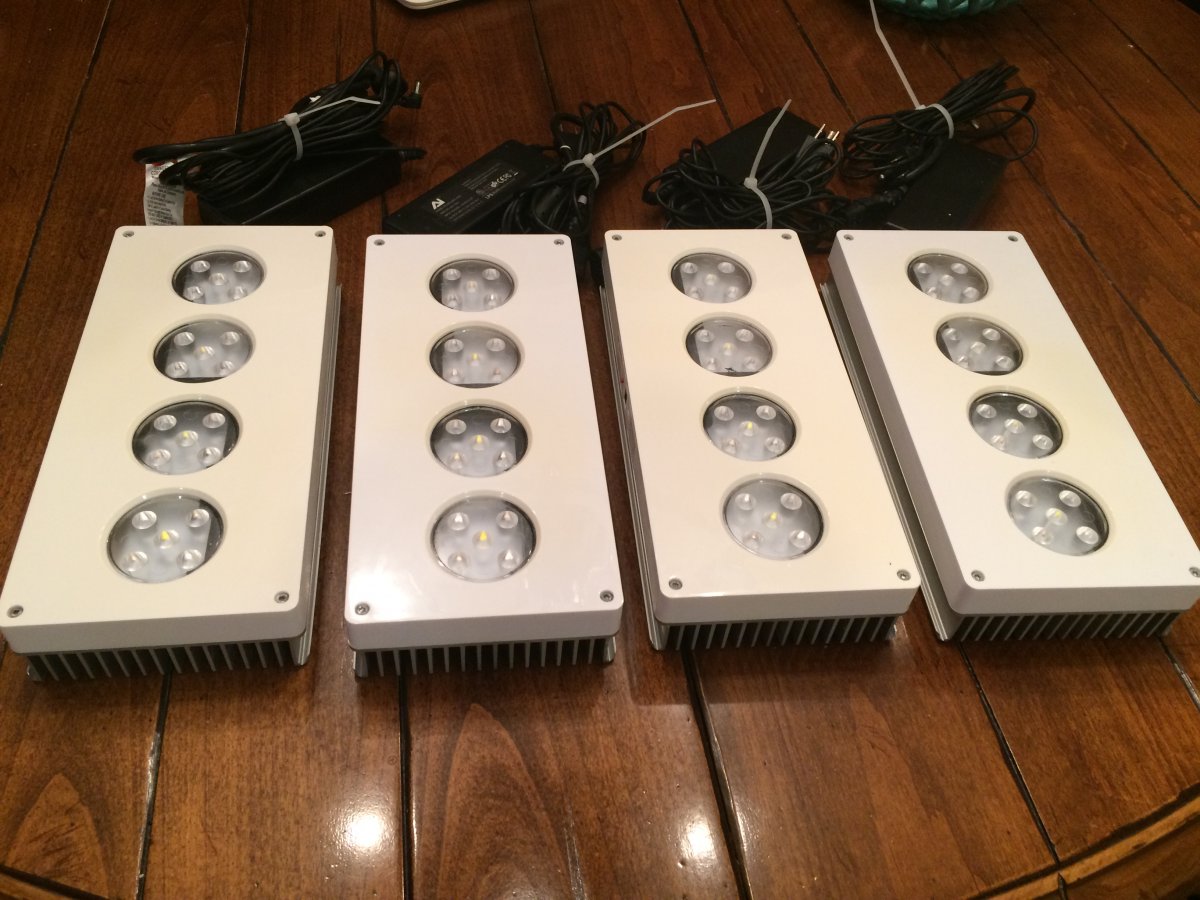 IMG_4035.JPG