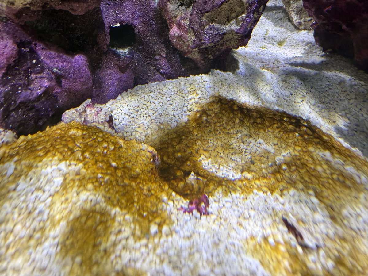 IMG_4042.jpeg