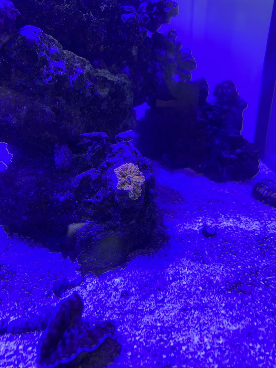 IMG_4043.jpeg