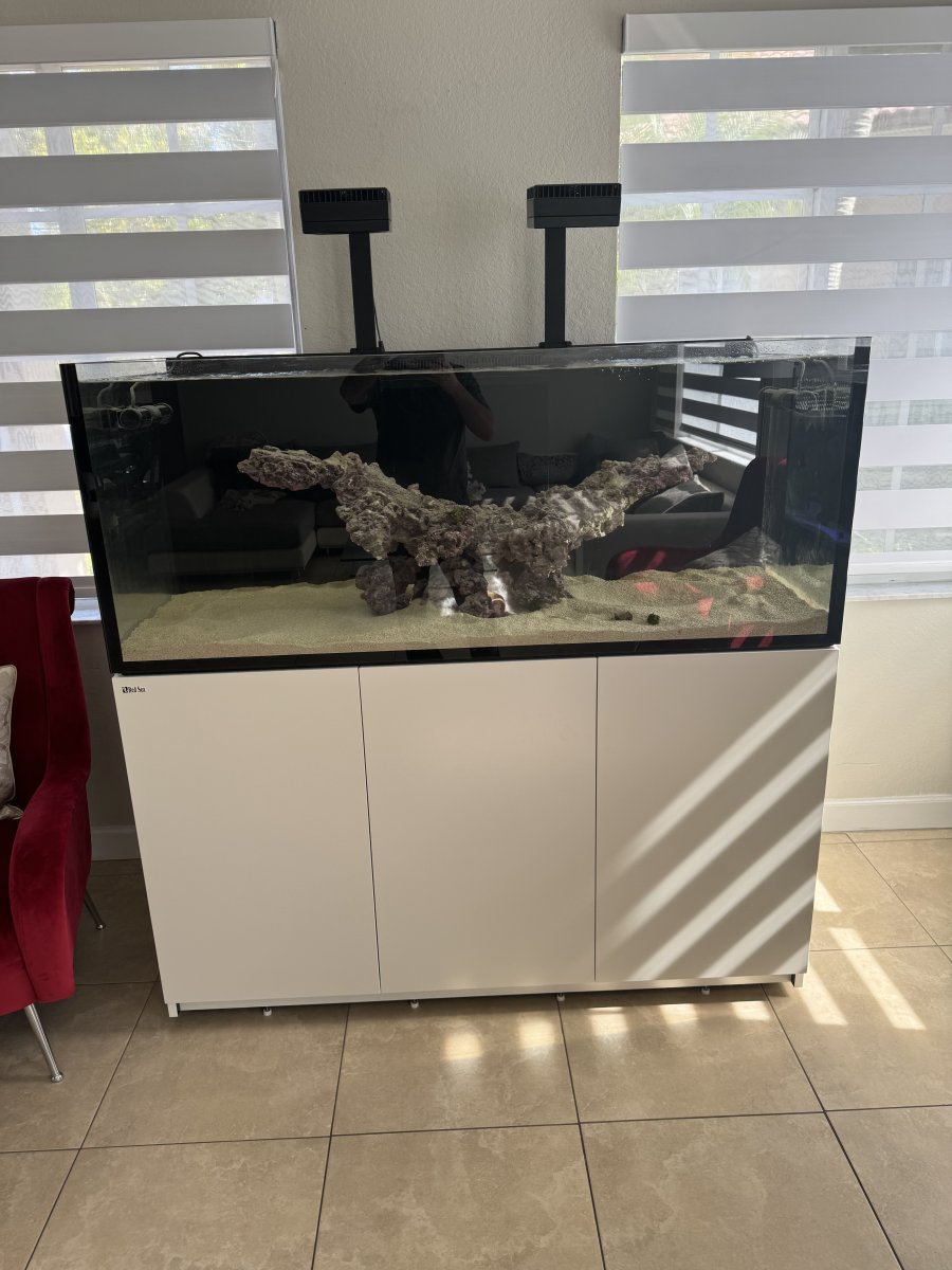 IMG_4043.jpeg