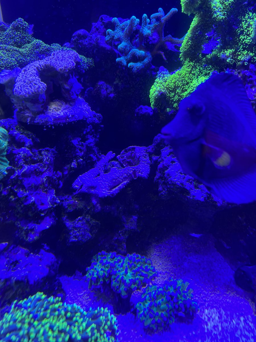 IMG_4044.jpeg