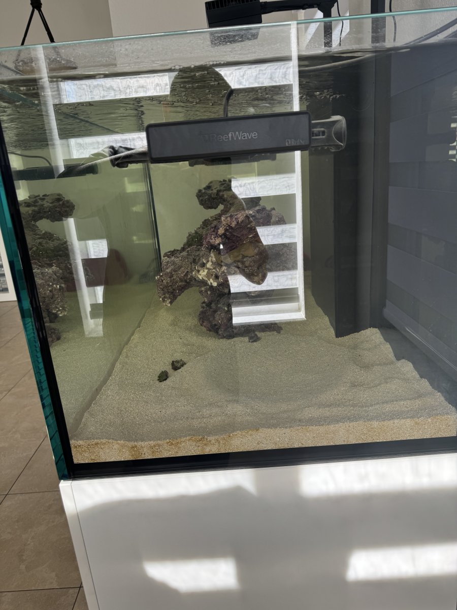 IMG_4044.jpeg