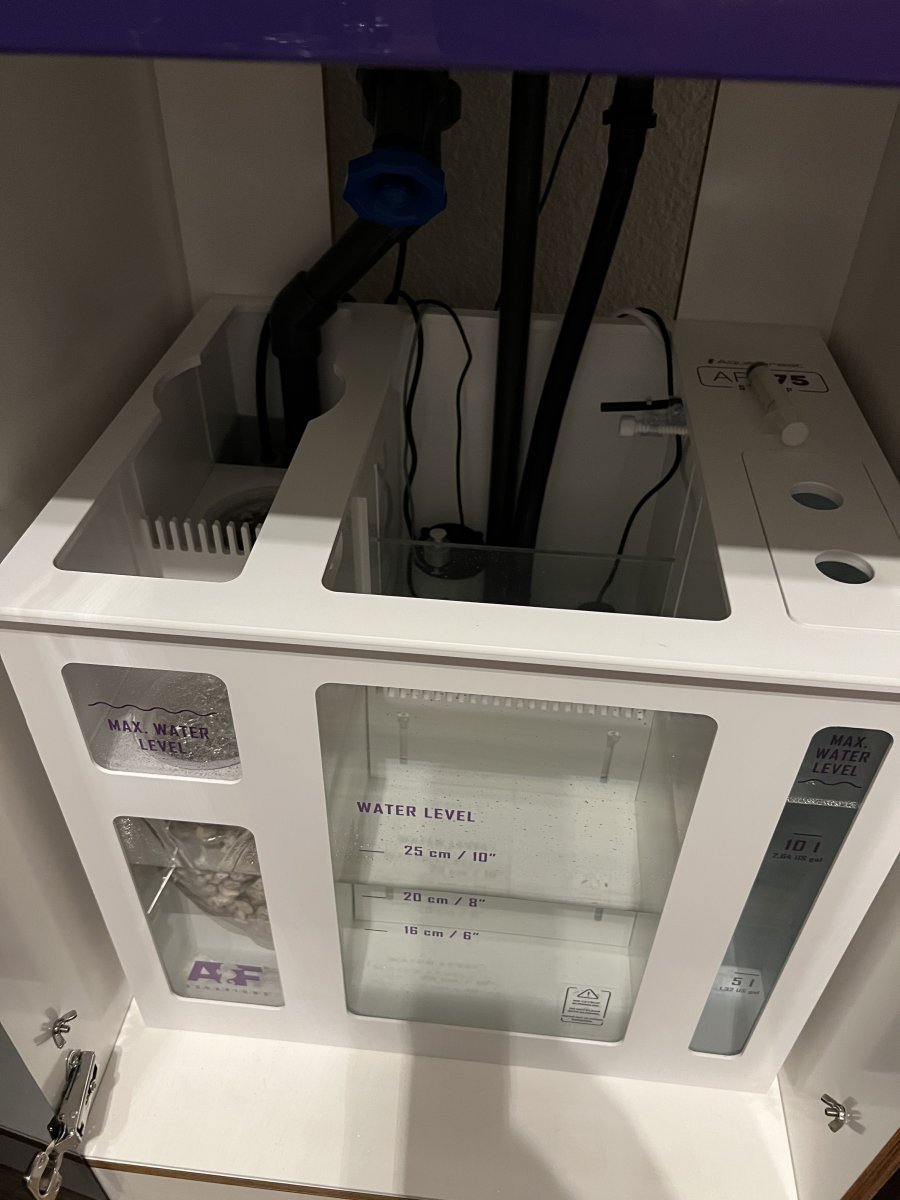 IMG_4057.jpeg