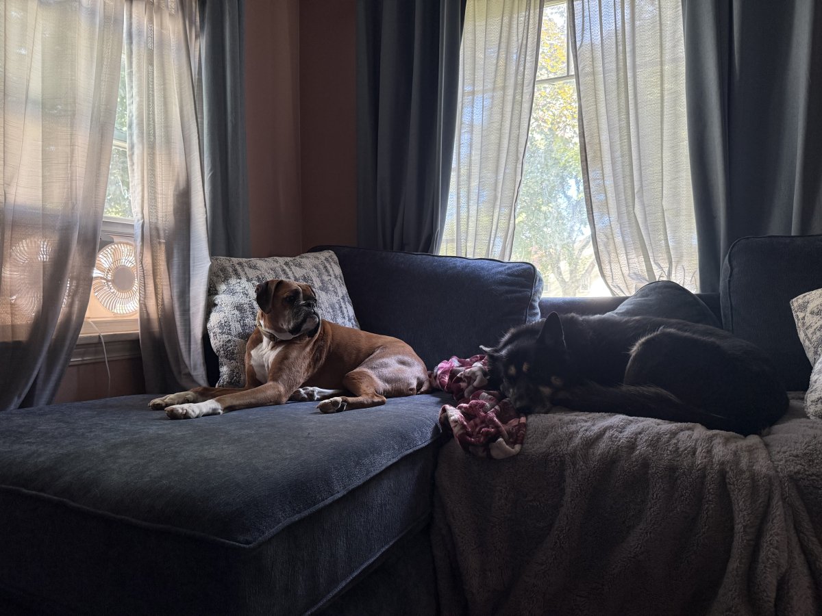 IMG_4059.jpeg