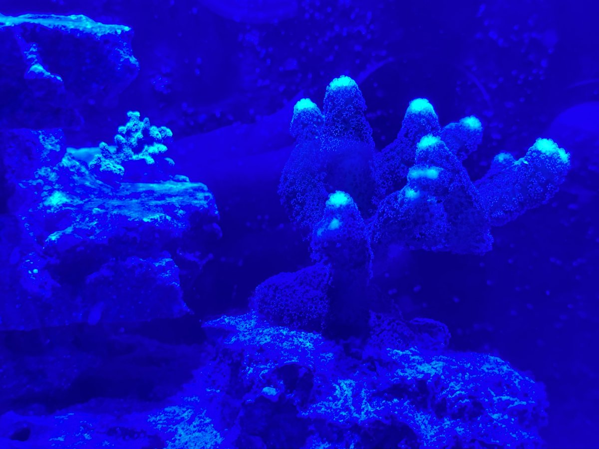 IMG_4063.jpeg