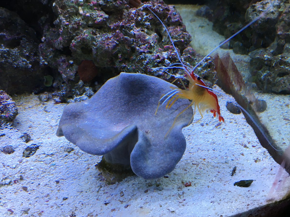 IMG_4071.JPG