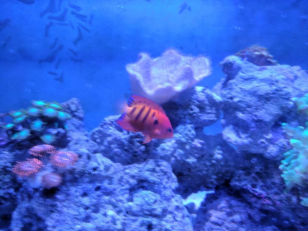 IMG_4073.JPG
