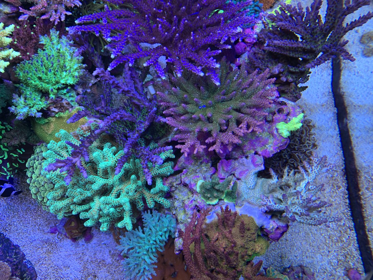 IMG_4074.JPG