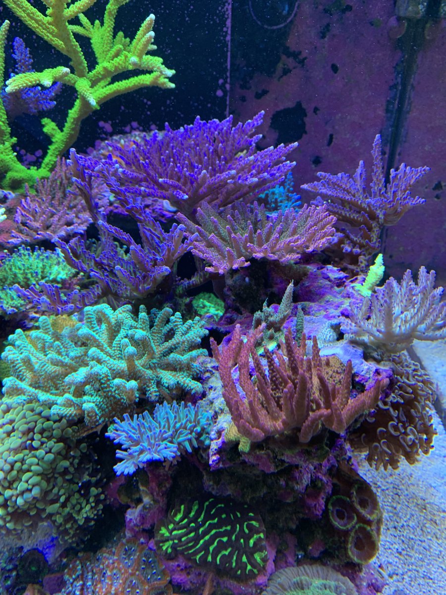 IMG_4080.JPG