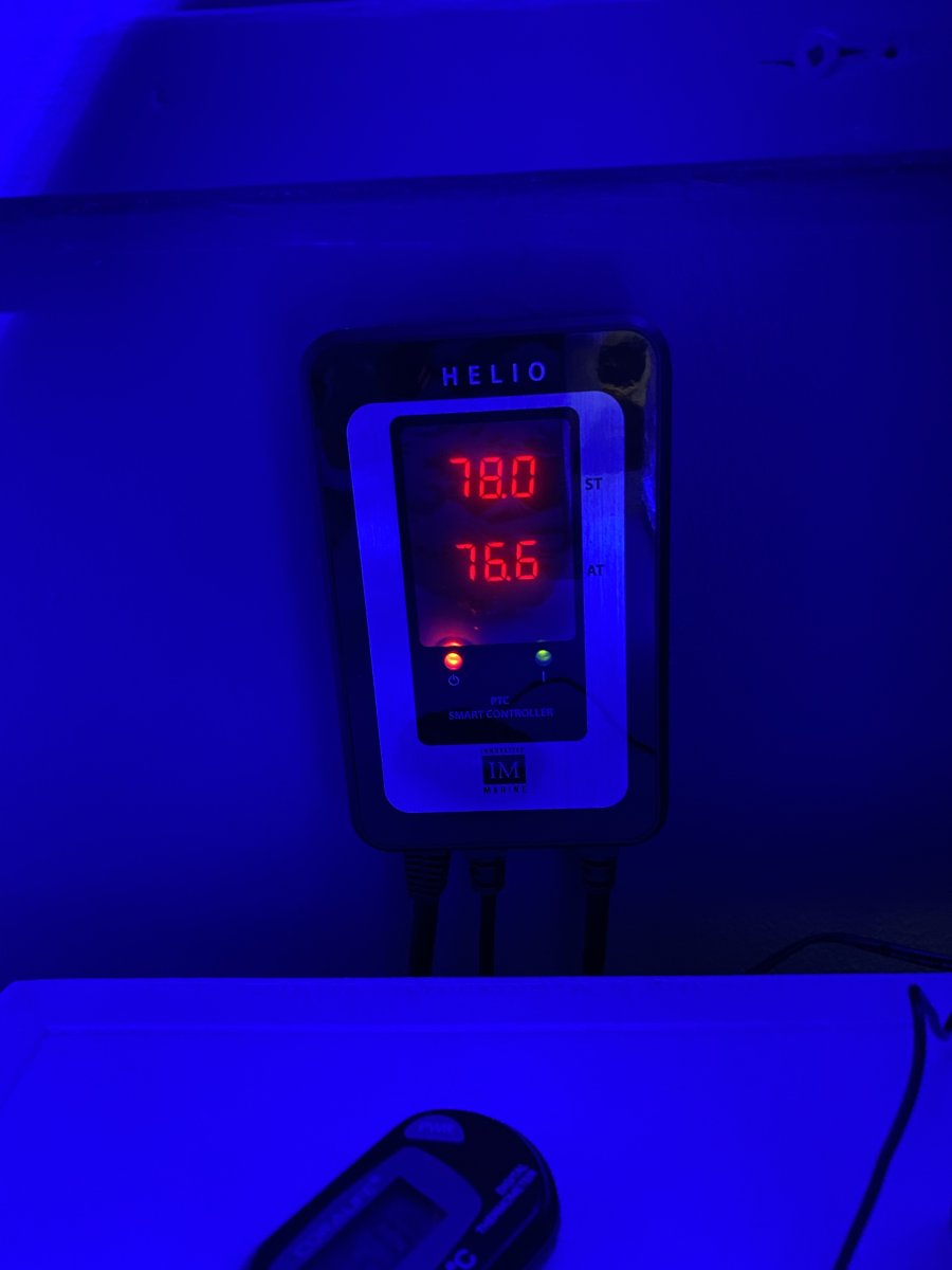 IMG_4090.jpeg