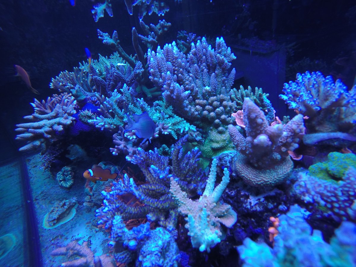 IMG_4100.JPG