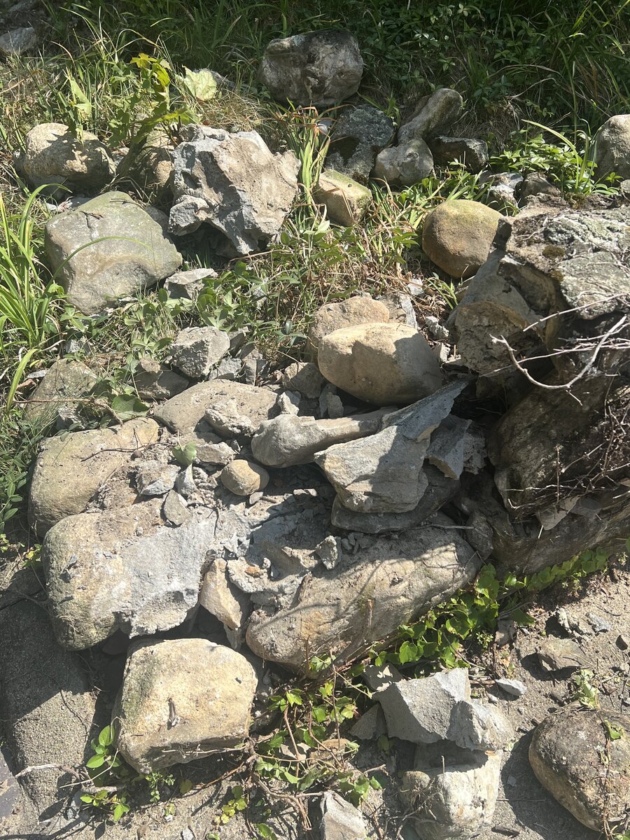 IMG_4104.jpeg