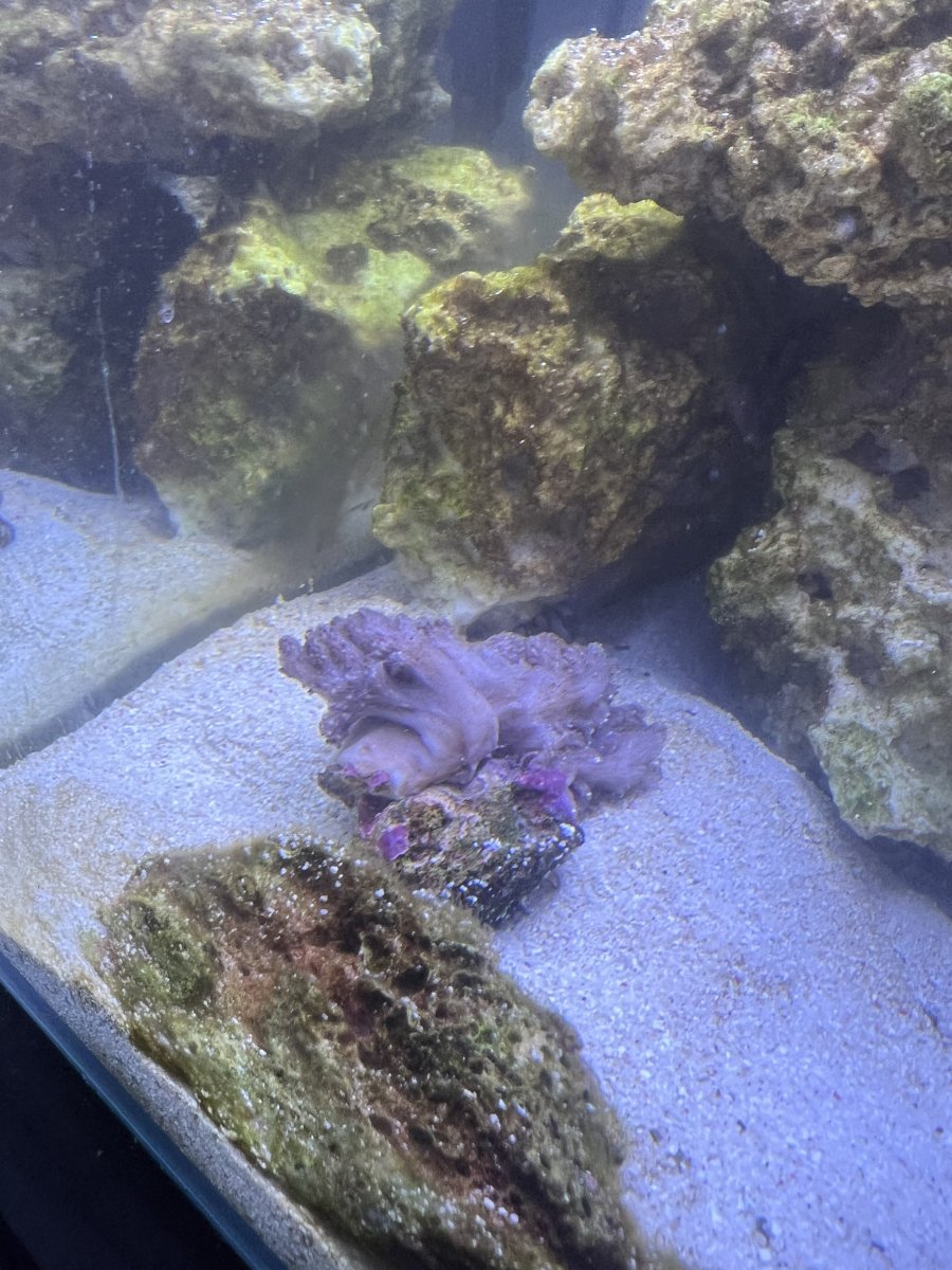 IMG_4106.jpeg